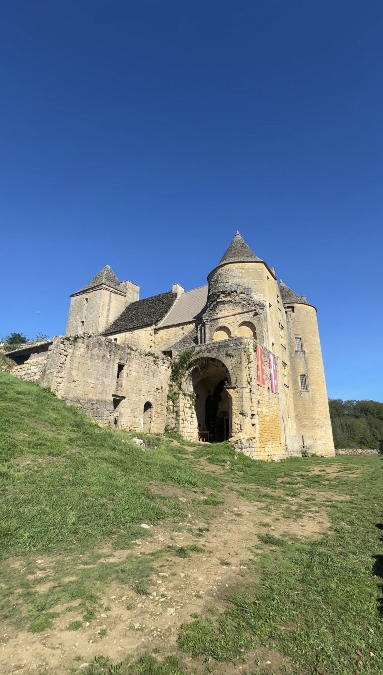 Le Château de Salignac