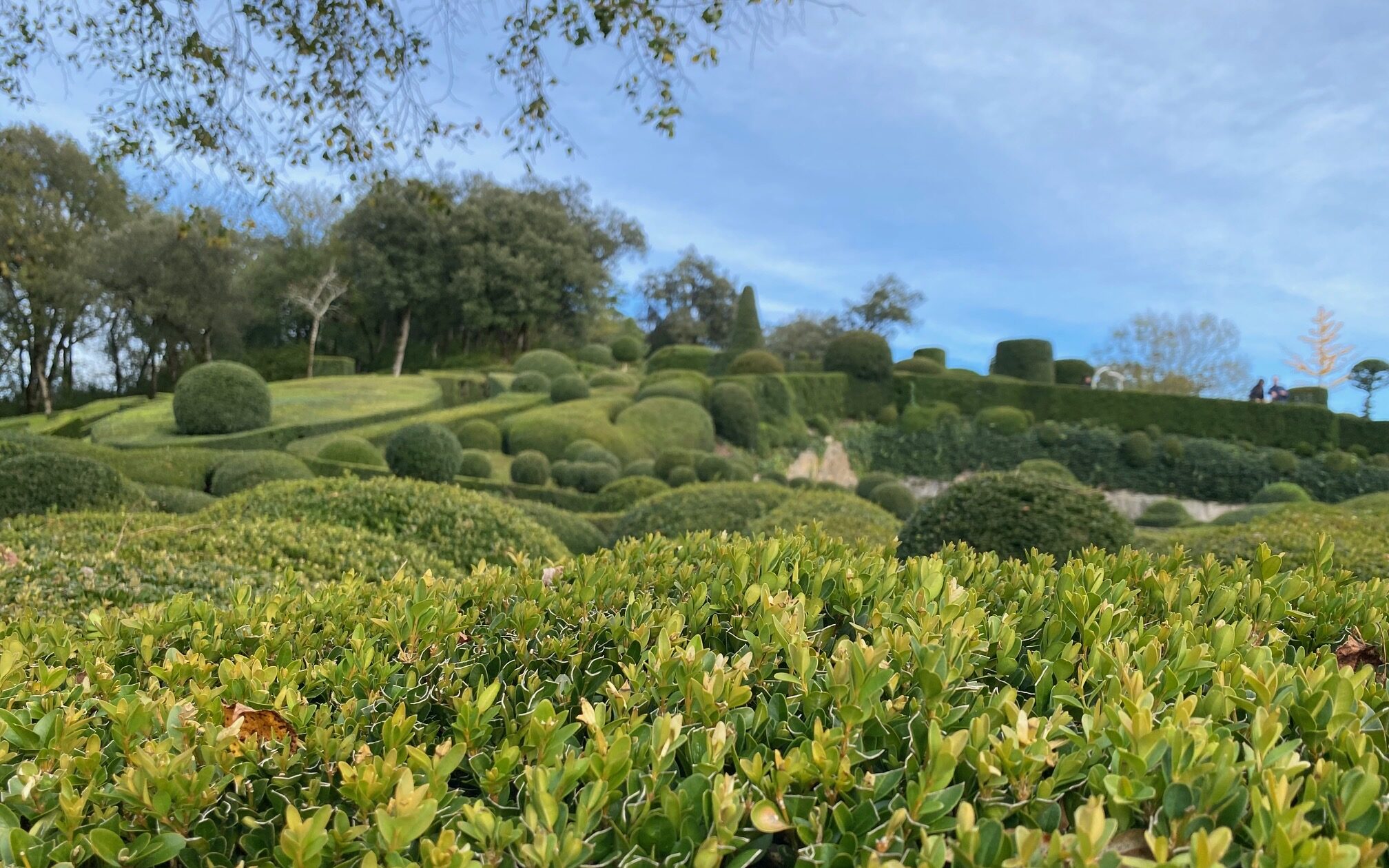 Jardins de Marqueyssac, Les Pépites du Périgord