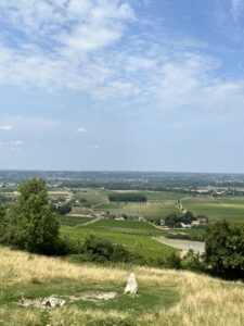 Château de Monbazillac