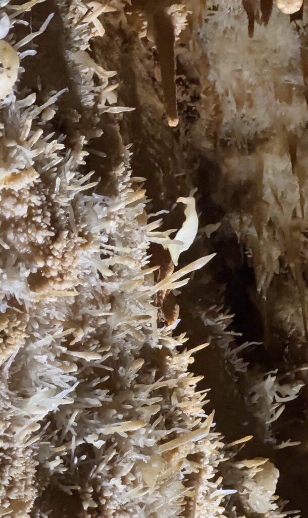 Grotte de Maxange